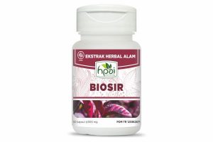 BIOSIR