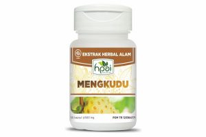 MENGKUDU KAPSUL