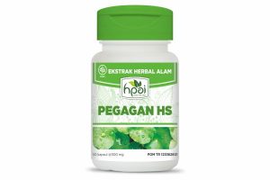 PEGAGAN HS