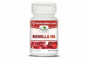 ROSELLA HS